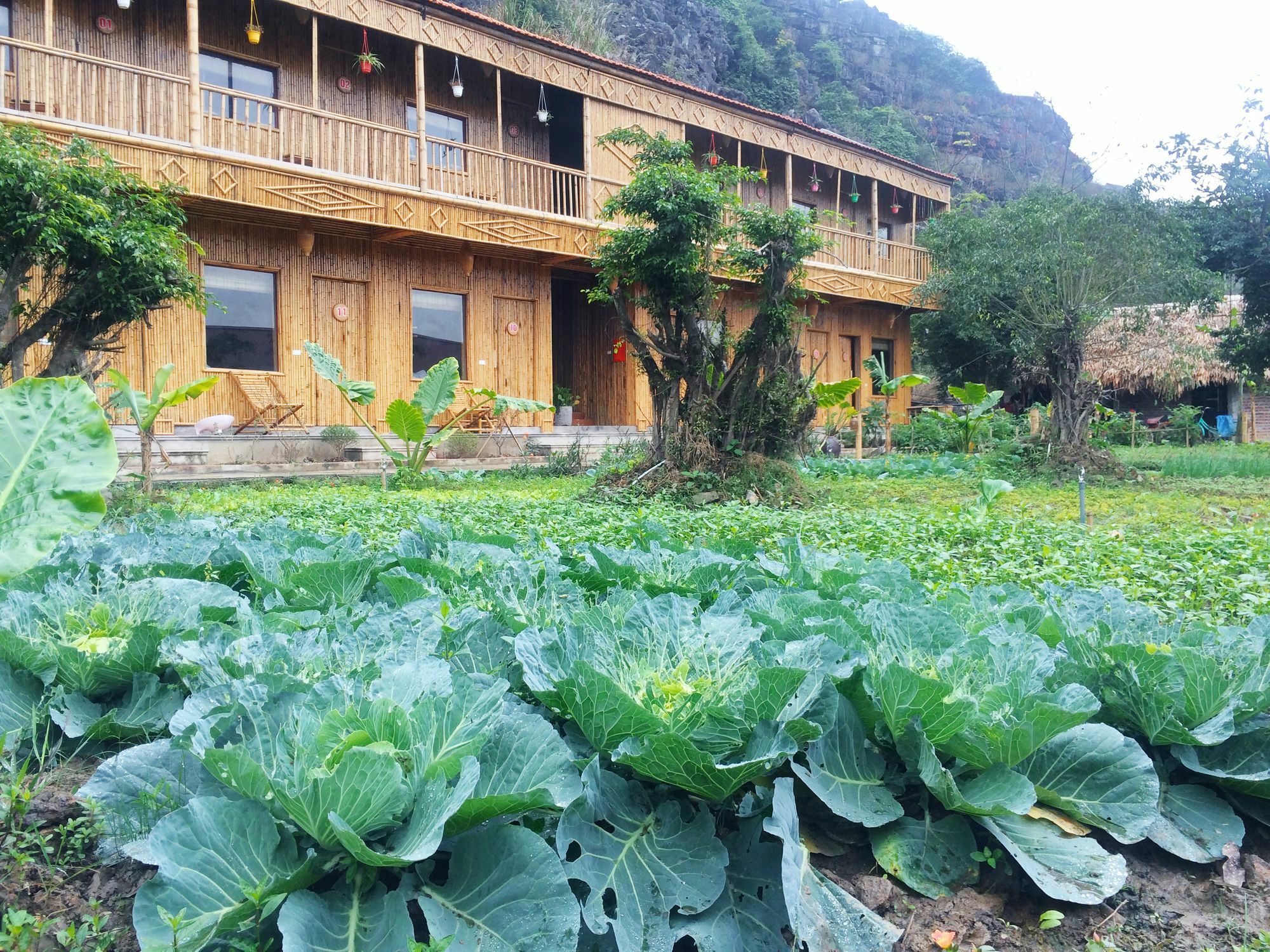 Ham Rong गेस्ट हाउस Ninh Binh