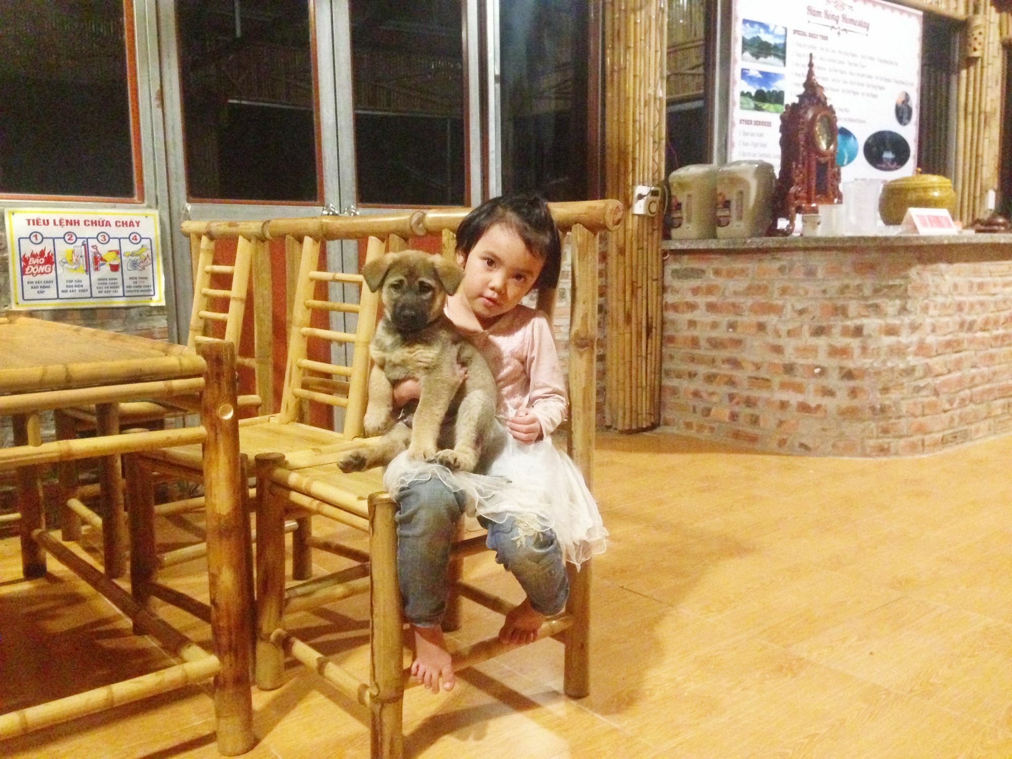 Ham Rong Ninh Binh